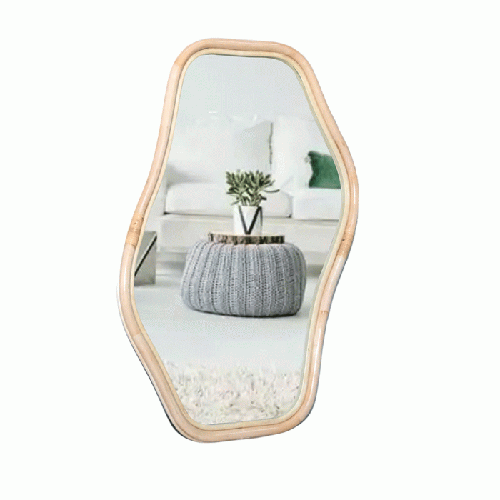 OLINK MIRROR - MEDIUM