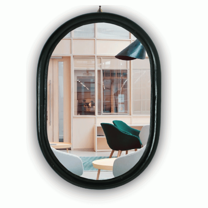 ORCA MIRROR