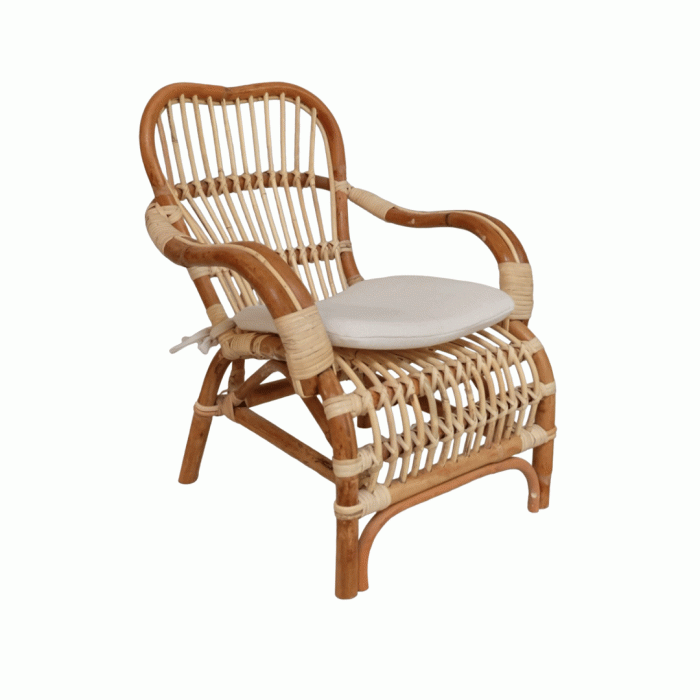 Sumatera Arm Chair With Skin Kids