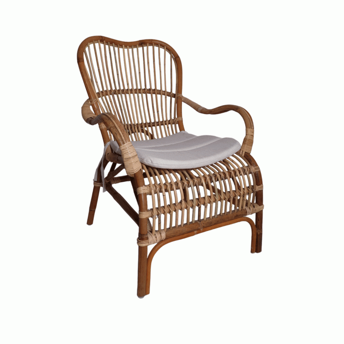 Sumatra Arm Chair With Skin